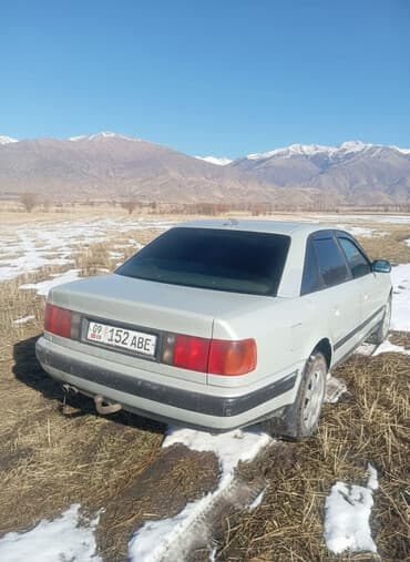мерс кабан дизель: Audi 100: 1990 г., 2 л, Седан — 1