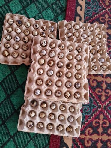 цена железа за 1 кг бишкек: Перепелиные яйца от домашнего хозяйства - Натуральные яйца от — 4