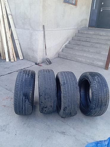 265 50 r20: Шины 265 / 50 / R 20, Лето, Комплект, Внедорожные (АТ/МТ), Dunlop — 2