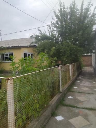 Недвижимость: Два дома посуточно или на долгий срок По всем вопросам обращаться по — 4