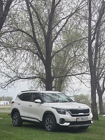 кия seltos: Kia Seltos: 2019 г., 1.6 л, Автомат, Бензин, Кроссовер — 2