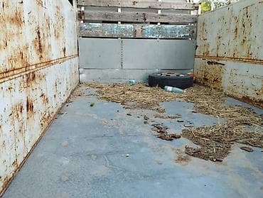 sprinter tdi: Грузовой бортовой Mercedes-Benz Sprinter (двухрядная кабина) - Тип — 5