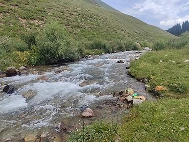 спринтер двухсскатник: Пункт назначения: Все направления, Количество мест: 18 — 5