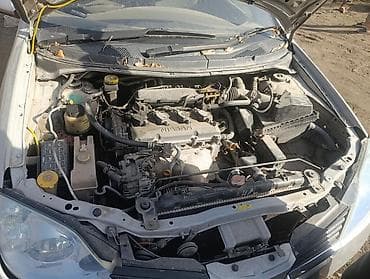 passat b2: Nissan Primera P12 (универсал) на разбор - Кузов: универсал — 4