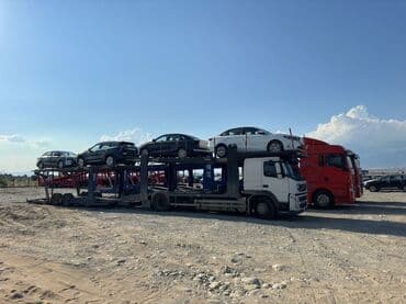 runx alex: Чиркегич — 6