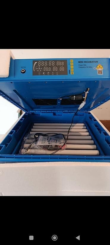 реклама бу: Инкубатор для яиц «Mini Incubator» (электронный) - Тип: полностью — 3