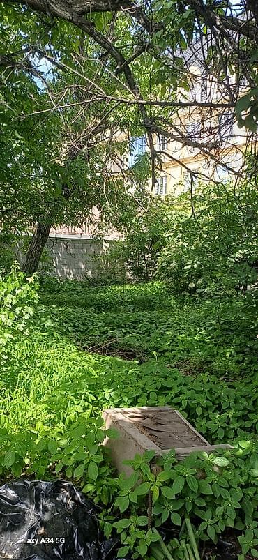 Земельные участки: 5 соток, Красная книга, Тех паспорт — 2