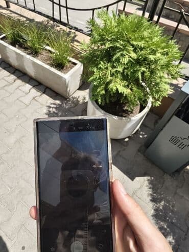 самсунг а 22 телефон: Samsung Galaxy S22 Ultra, Б/у, 512 ГБ, цвет - Черный, 1 SIM, eSIM — 6