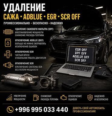 база данных: Профессиональное отключение и удаление систем экологии для дизельных — 2