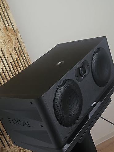 колонка качалка: Студийные мониторы Focal Alpha Twin Evo (активные, трехполосные — 4