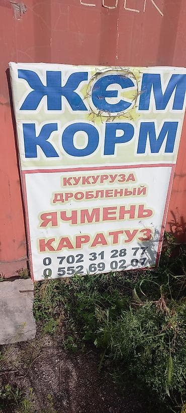С/х животные и товары: Корм и ингредиенты для сельхозживотных и птицы.ячмен кукуруза пшеница — 1