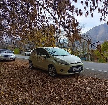 двер фит: Ford Fiesta: 2008 г., 1.4 л, Механика, Бензин, Хэтчбэк — 7