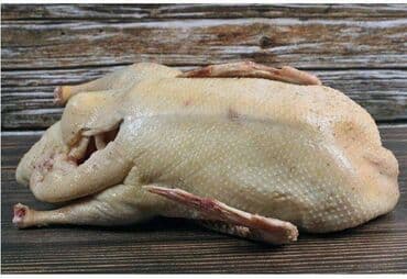 или меняю с доплатой мне: Өрдөк  — 1