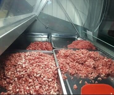 араба тачка: Птица — 3