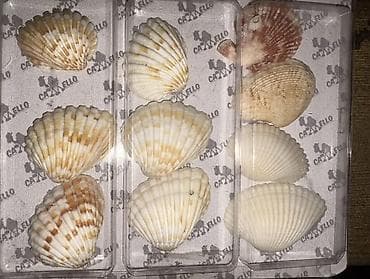 услуги конструктора одежды: Очки нулевки распродажа дешево 300 сом/ед Броши Серебро серьги - — 8