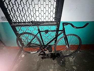 low2 fixie: Городской велосипед, Рама S (145 - 165 см), Б/у — 2