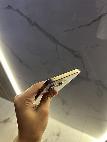 IPhone 16 Pro Max, Колдонулган, 256 ГБ, Desert Titanium, 99 % — 4