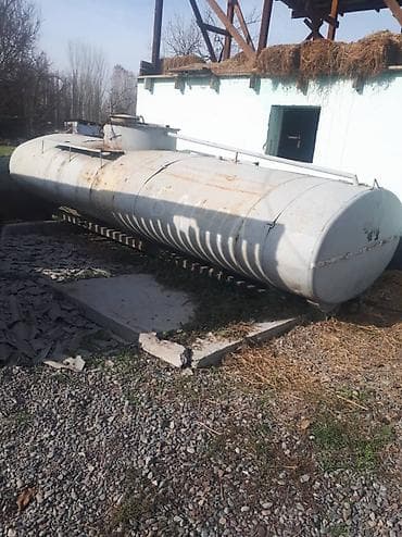 Грызуны: Продаю | Корова (самка), Бык (самец), Тёлка — 2