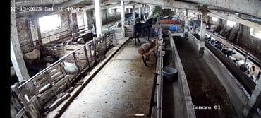 Установка техники: Продажа и установка систем видеонаблюдения “под ключ” - Оборудование — 5