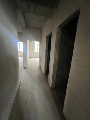 стройка туалета: 3 комнаты, 88 м², Элитка — 1