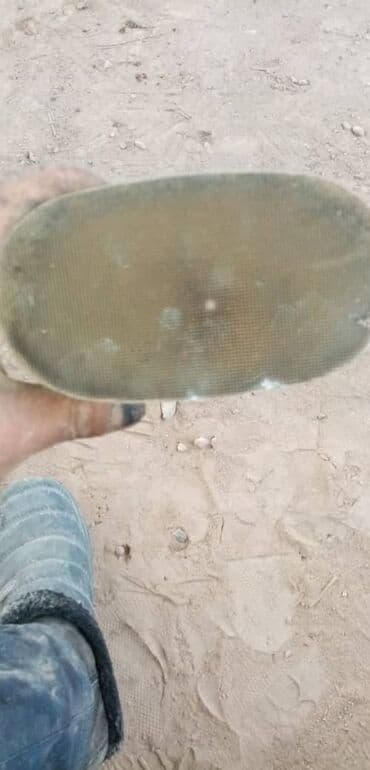 продать скутер на запчасти: Ош шаарында эн кымбат баада автокатализатор сатып алабыз жана баардык — 8