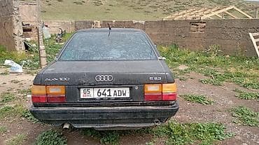 ноускат ист: Audi 100: 1990 г., 2.3 л, Механика, Бензин, Седан — 1
