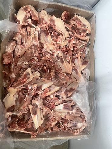 балык кумара: Куриный кости свежие 25сом кг Описание: - Натуральные гусиные — 2