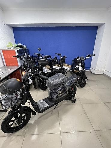 Мустанг 🎠 1 заряд мн 150 км журот Скорость 60 ка чыгат Телефон