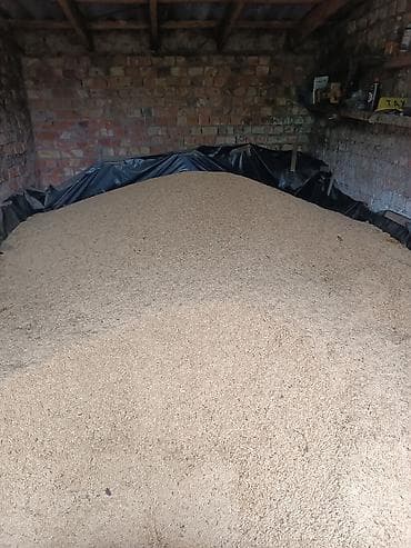 Продам ячмень/чистый урожай 25г - Фракция мелкая и однородная