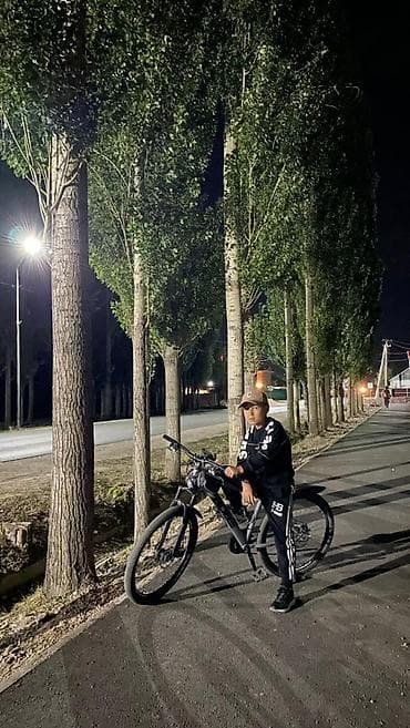 гантели маленькие: Горный велосипед, Рама M (156 - 178 см), Алюминий — 5