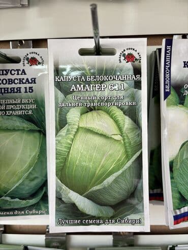 морковь семена: Семена капусты «Колобок» «Амагер 611» «Московская Поздняя 15» «Слава — 2