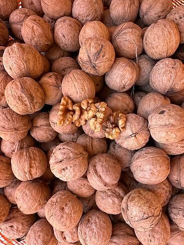 Грецкий орех в скорлупе - Крупный калибр, тонкая скорлупа, хорошо