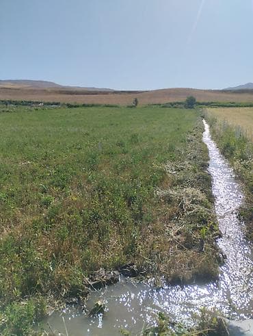 район тец: 150 соток, Договор купли-продажи — 4