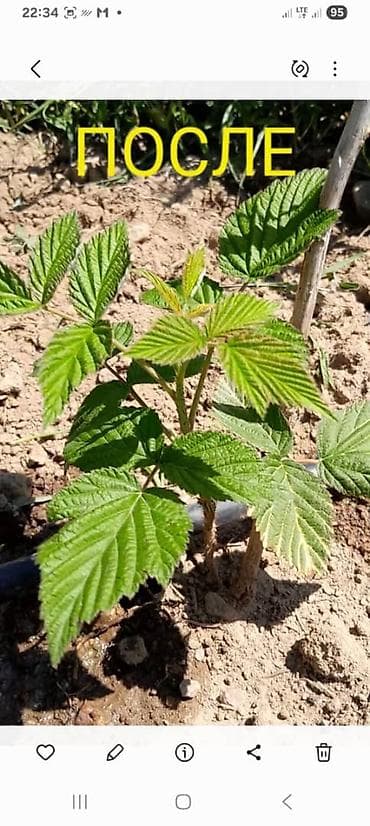 Ремонт под ключ: Универсальные услуги для дома, участка и стройки. Виды работ: - — 3