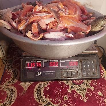 ноутбук бесплатно: Суп набор из форели. 1 кг 100 с — 2