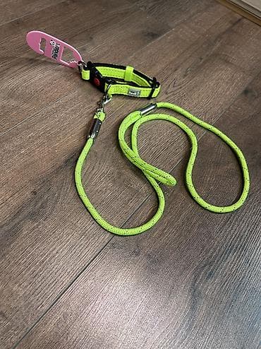 шиншил: Ошейник с поводком фирменный Panda для собак. Качество отличное — 10