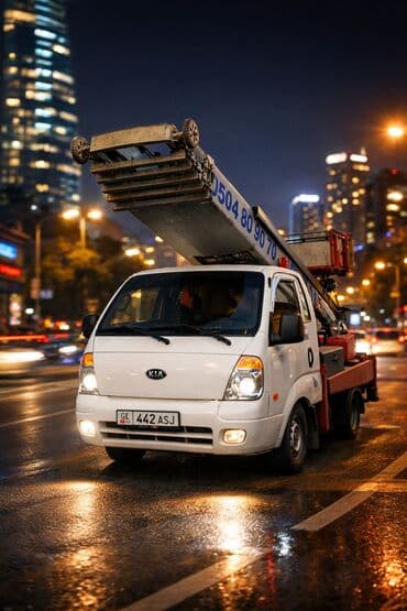 Сдаю в аренду