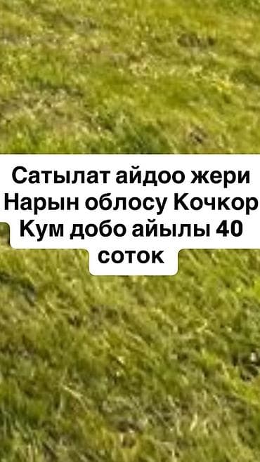 нарын там: 40 соток, Для сельского хозяйства — 1