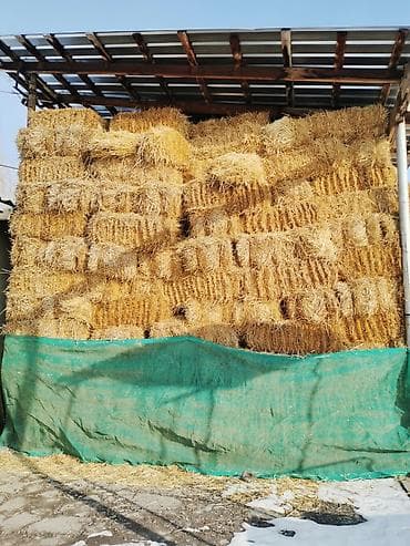 4 5мм: Солома в тюках (продаю) — 2