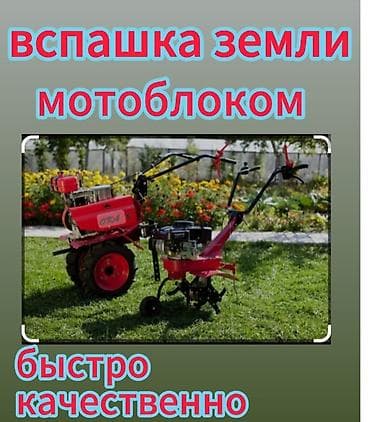 уличные растении: Вспашки огорода🚨 Услуги мотоблока 💯 Любой сложности💥 Вспохаю качество — 1