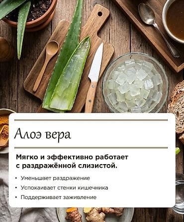 алоэ купить: Алоэ вера (Aloe vera) - декоративно ‑лекарственное растение - — 2