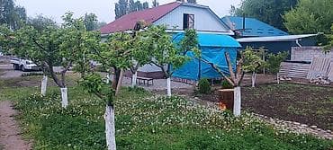 сдается дом аламедин 1: Продаётся земельный участок с домом и двором.сена договорная — 4