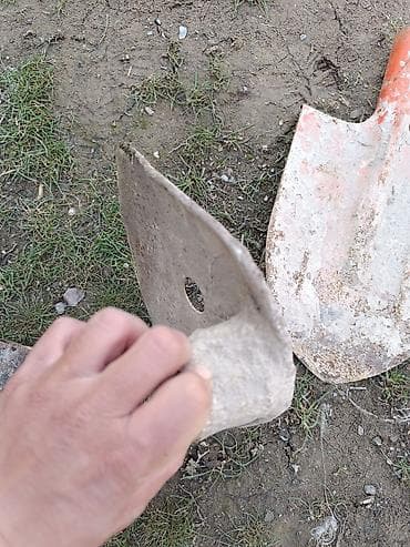 голова барана блюдо бишкек: Лопата, Совковая, Оптом — 9