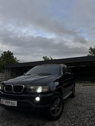 канистра бмв: BMW X5: 2003 г., 3 л, Автомат, Дизель, Кроссовер — 3