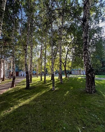 город балыкчы квартира: 2 комнаты, 55 м², Элитка, 1 этаж, Евроремонт — 9