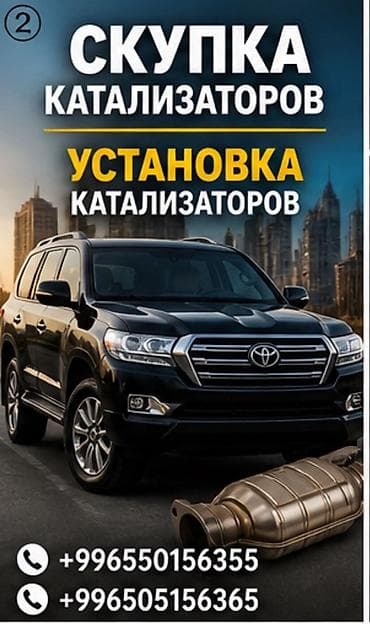 Аксессуары и тюнинг: Сервис по работе с автомобильными каталитическими нейтрализаторами — 1