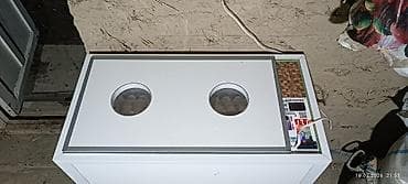 коты бишкек: Инкубатор норма парк 120жумурткалу сатылат бүт автомат адрес Ноокенде — 1