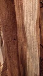 проекты домов: Дезинфекциялоо, дезинсекциялоо, | Канталалар, Бүргөлөр, Таракандар, | Транспорт, Офистер, Батирлер — 28