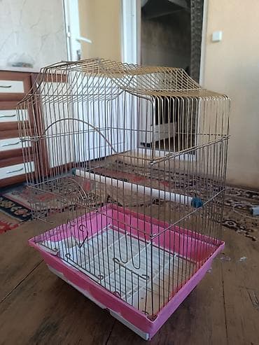 каракол животное: Клетка для мелких и средних птиц — 2