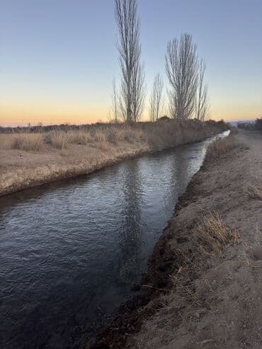 мобильный дома: 500 соток, Для бизнеса, Красная книга, Договор купли-продажи — 8